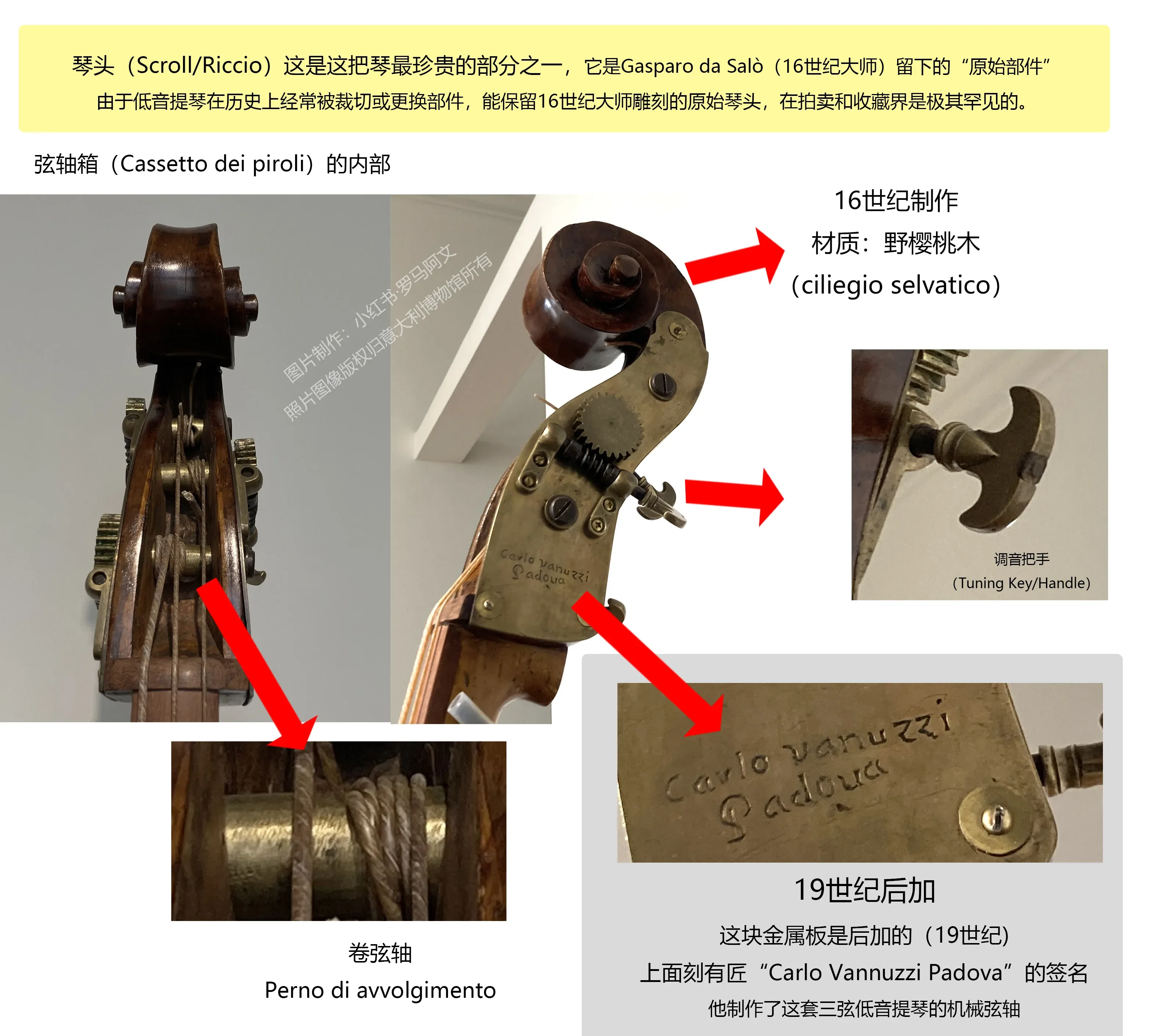 诺娃独立游戏通讯 2026-#16