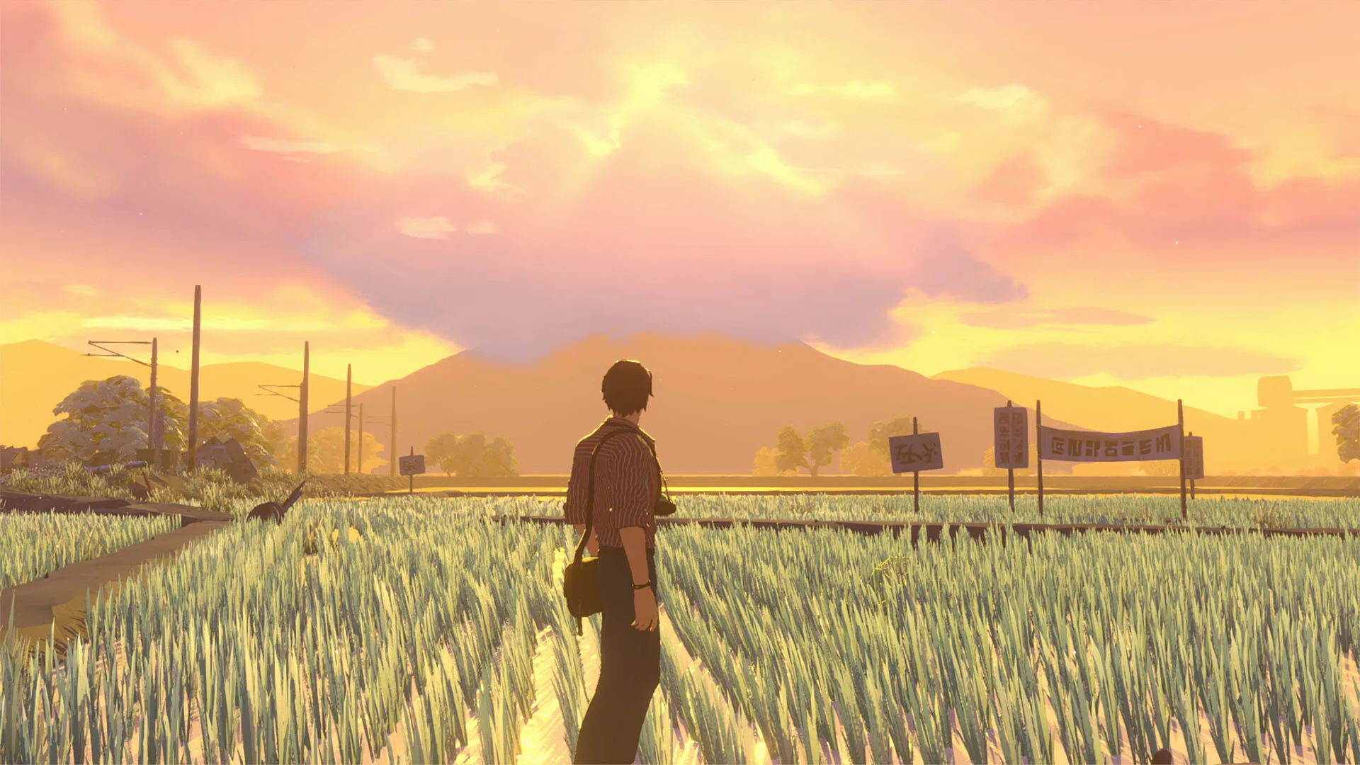 夏日、神明、公路片——《OPUS：心相吾山》：快门按下之后