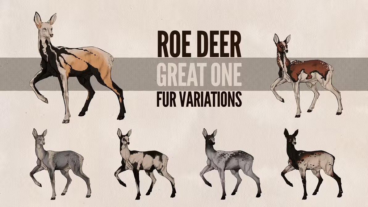 《猎人：荒野的召唤》现已推出全能武器组合包，9.1版本更新同步实装