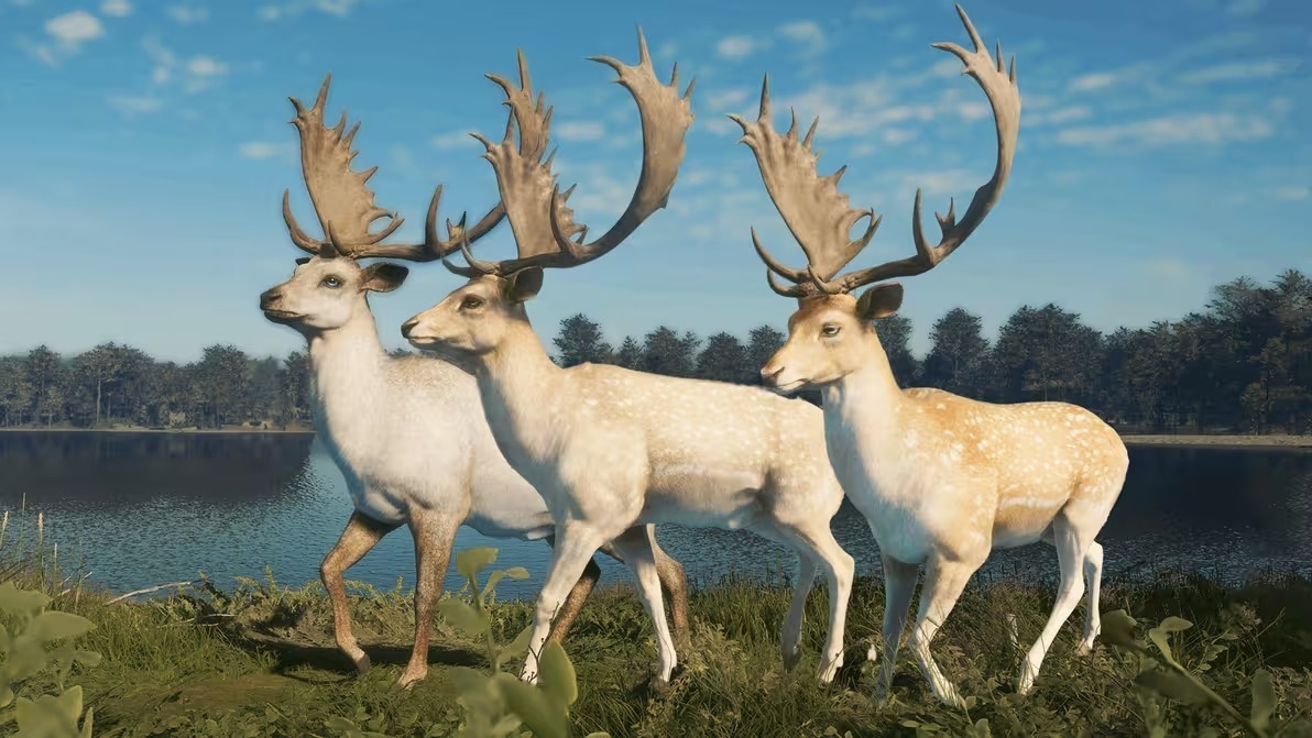 《猎人：荒野的召唤》现已推出全能武器组合包，9.1版本更新同步实装