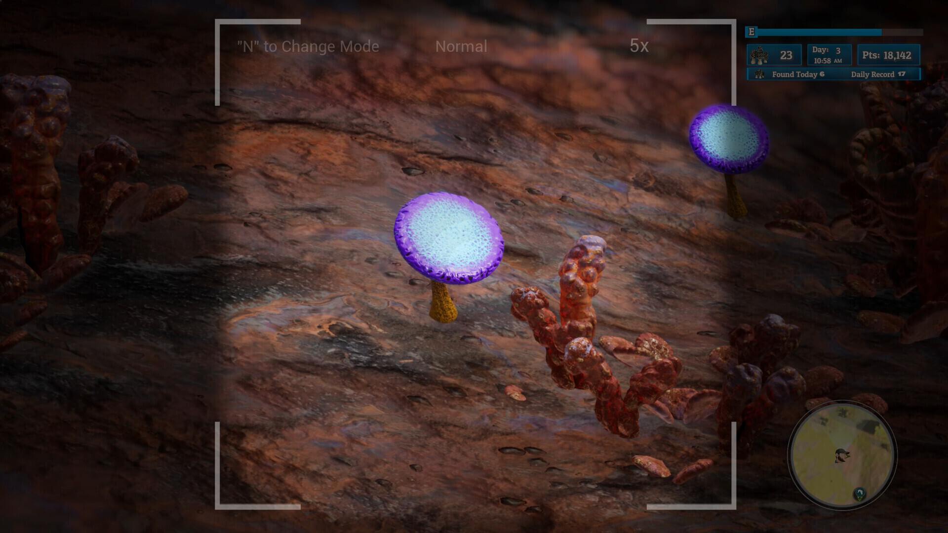 太空采蘑菇：《羊肚菌：外星探索》定于5月29日发售