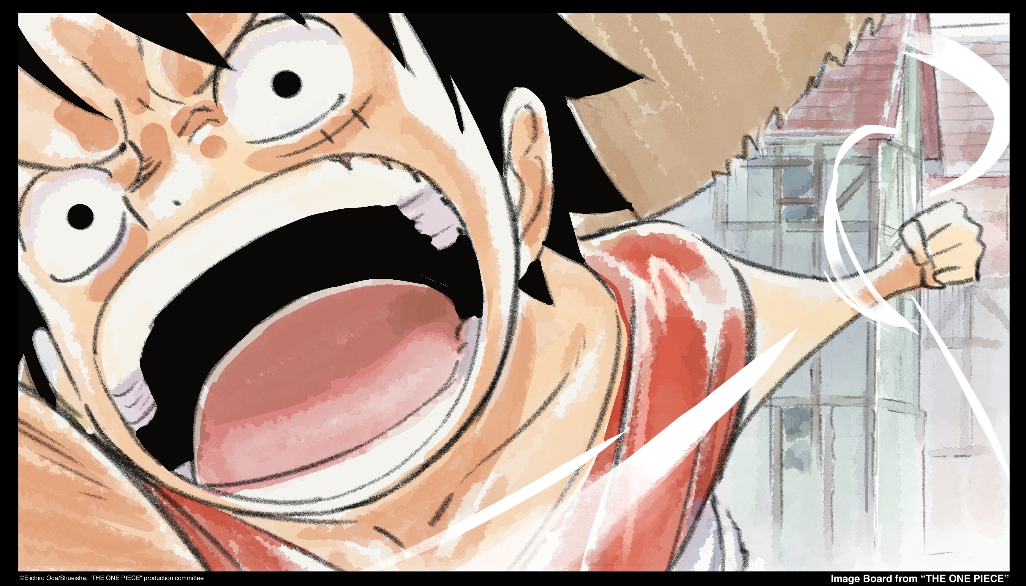 《海贼王》新动画系列《THE ONE PIECE》特报公开